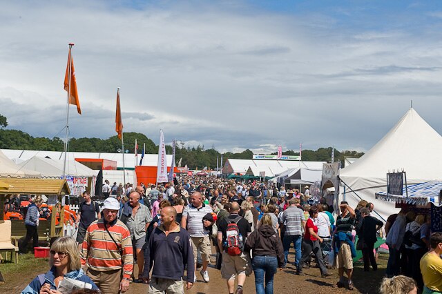 New Forest Show 2009 Credit: Wikimedia Commons
