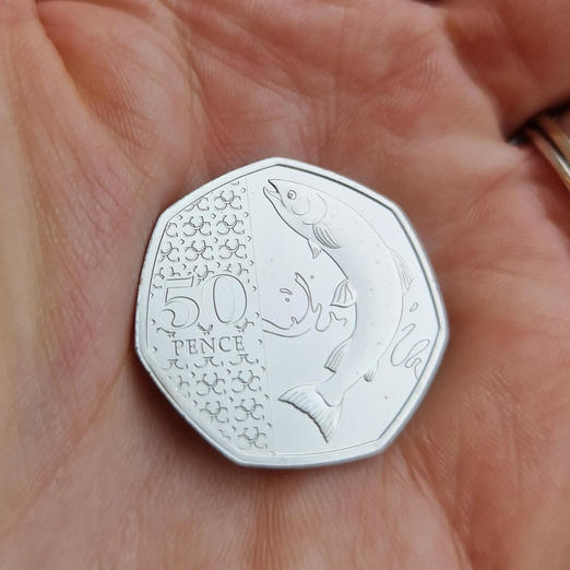 2023 Salmon 50p