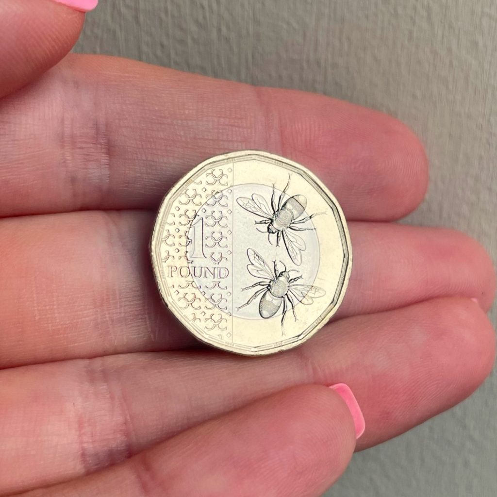 King Charles III Bee £1